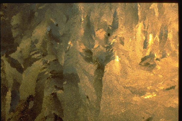 350047 Neanderthal Art A4 Photo Print