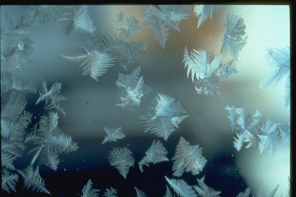 350048 Floating Flakes A4 Photo Print