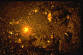 350050 Sunset Through Screen A4 Photo Print