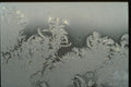 350055 Curlicues A4 Photo Print