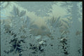 350060 Frost Garden A4 Photo Print