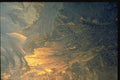 350061 Soft Ice Sweeps, Blue gold A4 Photo Print