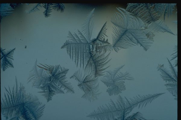 350062 Large Blue gray Snowflakes A4 Photo Print