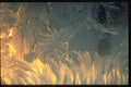 350063 Ice blue And Yellow Transparent Frost A4 Photo Print