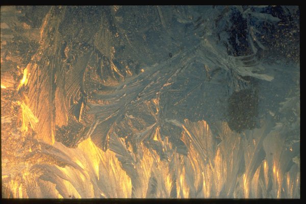 350063 Ice blue And Yellow Transparent Frost A4 Photo Print