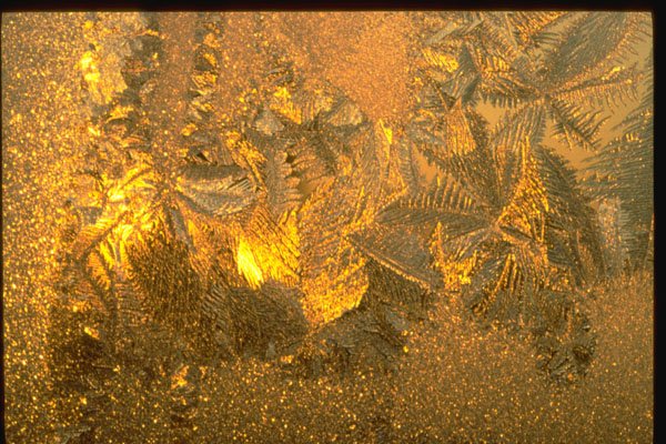 350066 Chaotic Glittering Gold A4 Photo Print