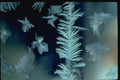 350067 Frost String A4 Photo Print