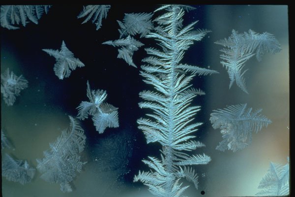 350067 Frost String A4 Photo Print