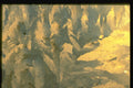 350070 Watercolor Background A4 Photo Print