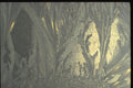 350071 Fantasy Jungle A4 Photo Print