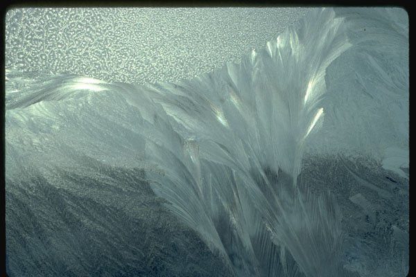 350076 Bouquet Of Feathers A4 Photo Print