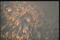 350081 Blue, Pink, And Yellow Explosion A4 Photo Print