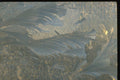 350085 Two Feathers A4 Photo Print