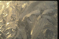 350088 Chaotic Foliage A4 Photo Print