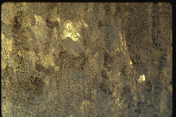 350097 Ochre Frost A4 Photo Print