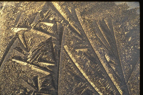 350099 Hieroglyphics A4 Photo Print