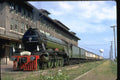 351017 L&N 4 6 2 With Flying Scotsman A4 Photo Print