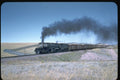 351045 UP 4 8 8 4 Big Boy 4004 With Train A4 Photo Print