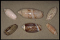 355075 Olives A4 Photo Print
