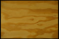 356005 Plywood A4 Photo Print