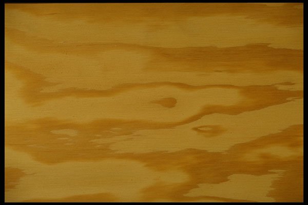 356005 Plywood A4 Photo Print