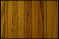 356008 Multi ply A4 Photo Print
