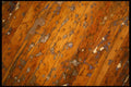 356013 Tattered Hardwood Floor A4 Photo Print