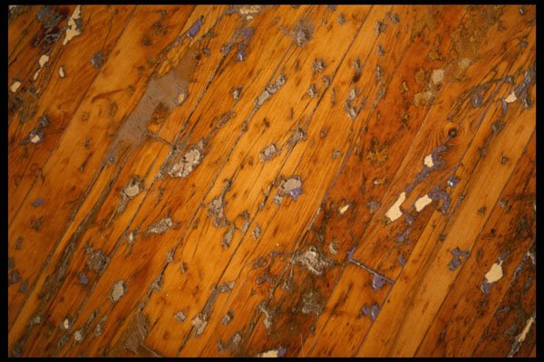 356013 Tattered Hardwood Floor A4 Photo Print