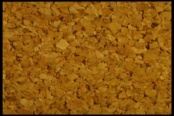 356016 Bulletin board Cork A4 Photo Print