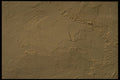 356020 Plaster Wall A4 Photo Print