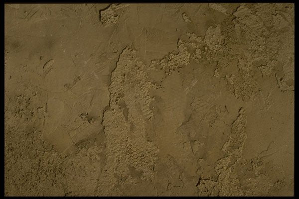 356025 Patchy Plaster A4 Photo Print