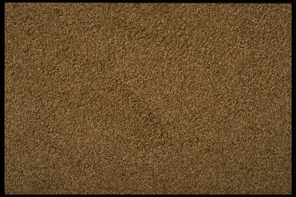 356027 Brown Granular Surface A4 Photo Print