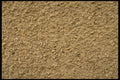 356030 Light Pebble Surface A4 Photo Print
