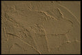 356032 Painted Patchy Plaster A4 Photo Print