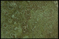 356045 Crackled Oxidization A4 Photo Print