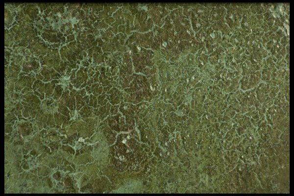 356045 Crackled Oxidization A4 Photo Print