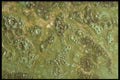 356046 Pitted Oxidization A4 Photo Print