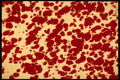 356047 Red Splotches A4 Photo Print