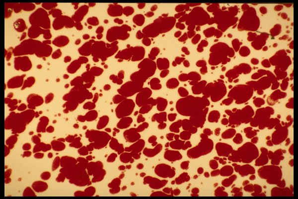 356047 Red Splotches A4 Photo Print