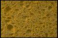 356051 Dish Sponge A4 Photo Print