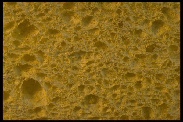 356051 Dish Sponge A4 Photo Print
