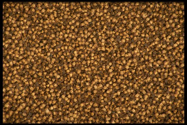 356060 Leather Pellets A4 Photo Print