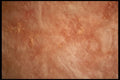 356061 Fiberglass Insulation A4 Photo Print