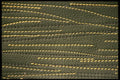 356064 Stitched Green Leather A4 Photo Print