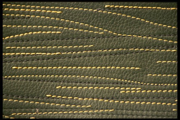 356064 Stitched Green Leather A4 Photo Print