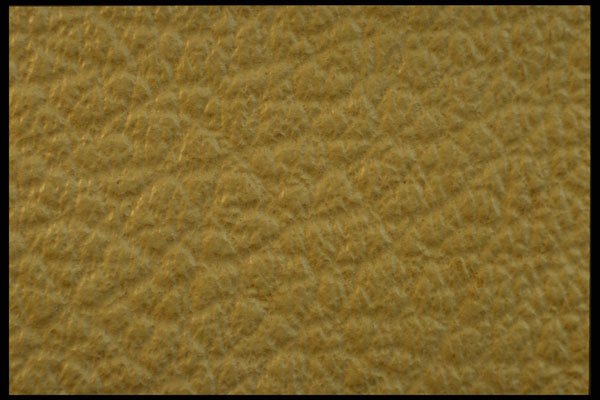 356065 Patterned Beige Leather A4 Photo Print