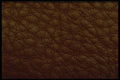 356066 Patterned Brown Leather A4 Photo Print