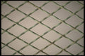 356075 Oxidized Wire Screen A4 Photo Print