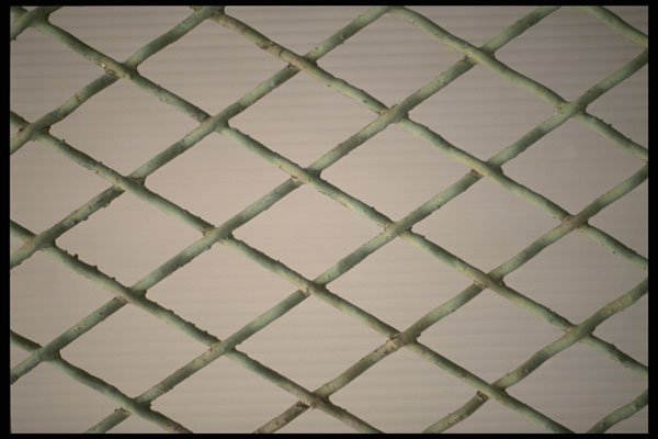 356075 Oxidized Wire Screen A4 Photo Print