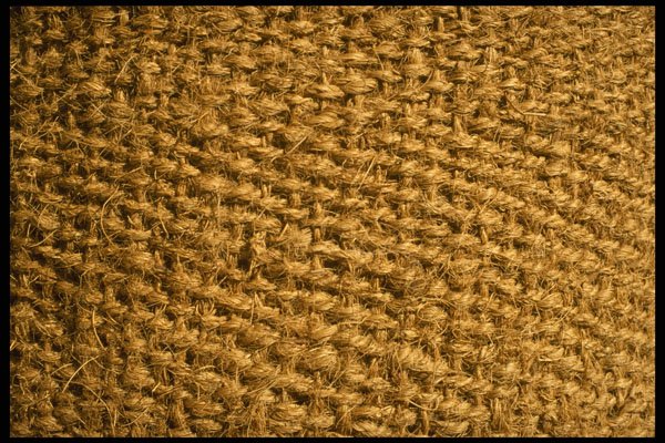 356081 Woven Door Mat A4 Photo Print
